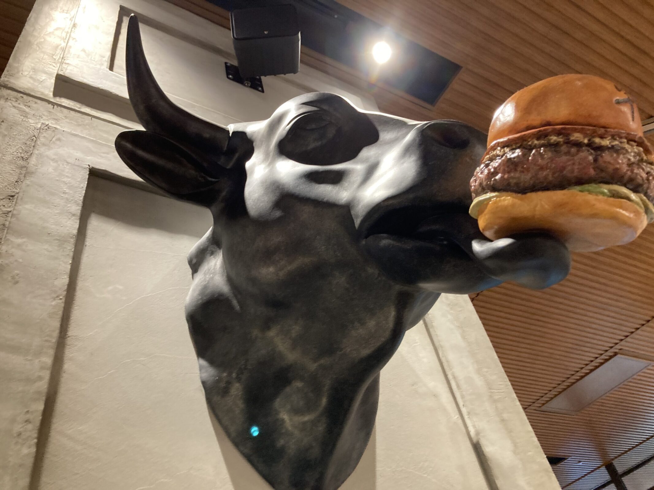 【食レポ】A5和牛100％！Wagyu Burger(ワギュウバーガー)＠日本橋